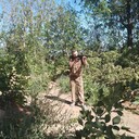 ���������� ������-��-����, ���� ������� ���, 31 ���, ������������ ��� ������, ����� � ���������