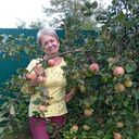 ���������� ������, ���� ������� �������, 66 ���, ������������ ��� ����� � ���������