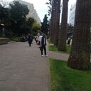 ���������� ����, ���� ������� ���������, 34 ����, ������������ ��� c�������� ���������