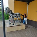  ,   Irina, 52 ,   ,   
