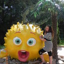 ���������� �������, ���� ������� �������, 32 ����, ������������ ��� ����� � ���������, c�������� ���������