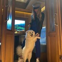 ���������� ������, ���� ������� �����, 32 ����, ������������ ��� ������, ����� � ���������, c�������� ���������