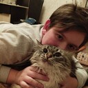 ���������� �����, ���� ������� �����, 49 ���, ������������ ��� c�������� ���������