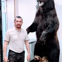 ���������� �����, ���� ������� ���������, 45 ���, ������������ ��� c�������� ���������