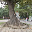  ,   , 43 ,     , c 