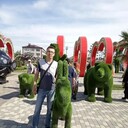 ���������� ���, ���� ������� �������, 43 ����, ������������ ��� ������, ����� � ���������, c�������� ���������