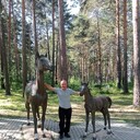 ���������� ����������, ���� ������� ������, 45 ���, ������������ ��� ������, ����� � ���������, c�������� ���������, ���������