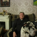  ,   SALAMANDRA, 71 ,   