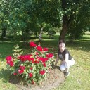 ���������� �����-���������, ���� ������� �������, 43 ����, ������������ ��� ������, ����� � ���������, c�������� ���������