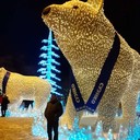 ���������� ������, ���� ������� ���������, 47 ���, ������������ ��� ������, ����� � ���������, c�������� ���������