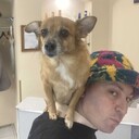  -,   , 29 ,   ,   , c , 