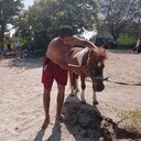 ���������� ��������, ���� ������� �����, 35 ���, ������������ ��� ������, ����� � ���������, c�������� ���������