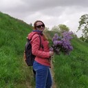  ,   , 51 ,   ,   , c , 