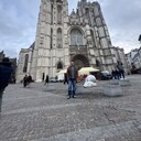 ���������� ������, ���� ������� Zviadi, 47 ���, ������������ ��� ������, ����� � ���������, c�������� ���������, ���������