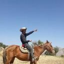 ���������� ������, ���� ������� �����, 53 ����, ������������ ��� ������, ����� � ���������