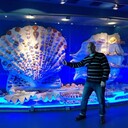  ,   , 61 ,   ,   , 