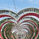 ���������� ���������, ���� ������� �����, 69 ���, ������������ ��� c�������� ���������