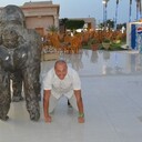  ,   IGOR, 49 ,   ,   , c 