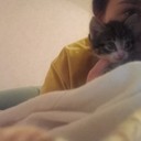 ���������� ����, ���� ������� �������, 25 ���, ������������ ��� ������, ����� � ���������, c�������� ���������