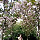 ���������� �����-���������, ���� ������� ���������, 28 ���, ������������ ��� ������, ����� � ���������