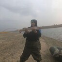 ���������� �����������, ���� ������� �������, 38 ���, ������������ ��� ������, ����� � ���������