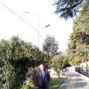 ���������� ������������, ���� ������� �������, 43 ����, ������������ ��� ������, ����� � ���������, c�������� ���������