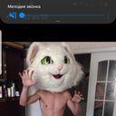 ���������� �������, ���� ������� ������, 36 ���, ������������ ��� ������, ����� � ���������, c�������� ���������