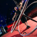 ���������� �����, ���� ������� �������, 40 ���, ������������ ��� ����� � ���������, c�������� ���������