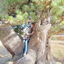 ���������� ������, ���� ������� �����, 61 ���, ������������ ��� ������, ����� � ���������, c�������� ���������, ���������