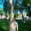 ���������� ���������, ���� ������� ����, 37 ���, ������������ ��� ������, ����� � ���������, c�������� ���������