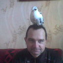 ,   , 52 ,   