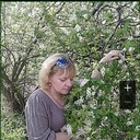  ,   , 48 ,   ,   , c 
