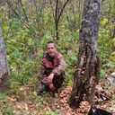 ���������� ���������, ���� ������� �������, 37 ���, ������������ ��� c�������� ���������, ���������