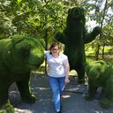  ,   , 27 ,   c , 