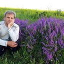 ���������� ��������, ���� ������� ���������, 60 ���, ������������ ��� ������, ����� � ���������, c�������� ���������