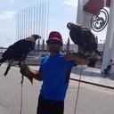 ���������� ��, ���� ������� �����, 35 ���, ������������ ��� ������, ���������