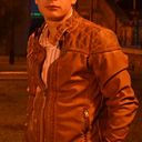 ���������� ����, ���� ������� ���������, 33 ����, ������������ 