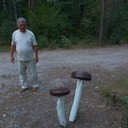 ���������� ������, ���� ������� �������, 73 ����, ������������ ��� ���������