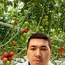 ���������� ������, ���� ������� ������, 29 ���, ������������ ��� ������, ����� � ���������