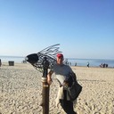 ���������� ����, ���� ������� �����, 53 ����, ������������ ��� ������, ����� � ���������, c�������� ���������