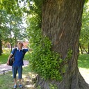 ���������� �����-���������, ���� ������� �������, 42 ����, ������������ ��� ������, ����� � ���������, ���������