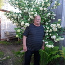  ,   , 61 ,  