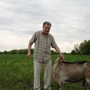   ,   , 79 ,   ,   