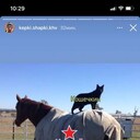 ���������� ���������, ���� ������� ���������, 36 ���, ������������ ��� ������, ����� � ���������, c�������� ���������