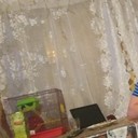 ���������� ������, ���� ������� ������, 43 ����, ������������ ��� ������, ����� � ���������, c�������� ���������