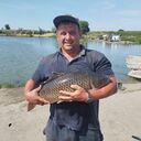 ���������� �����������, ���� ������� �������, 36 ���, ������������ ��� ������, ����� � ���������