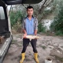 ���������� ������, ���� ������� ������, 37 ���, ������������ ��� ������, ����� � ���������, c�������� ���������