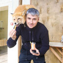 ���������� ����������, ���� ������� ������, 36 ���, ������������ ��� ������, ����� � ���������