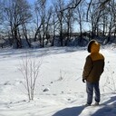 ���������� ������, ���� ������� ���������, 26 ���, ������������ ��� ������, ����� � ���������