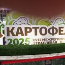 ���������� �����, ���� ������� ����, 44 ����, ������������ ��� ������, ���������